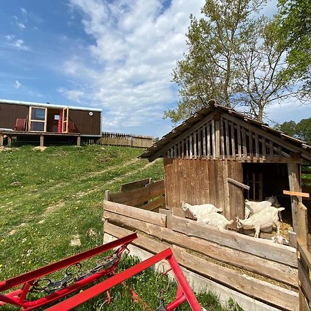 Maringotka Na Samote Na Kozi Farme Pobezovice Exterior foto